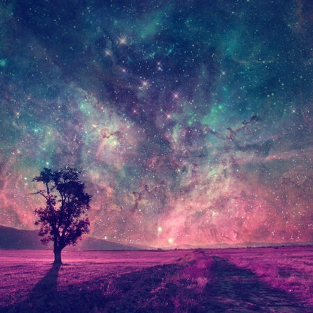 Πινακας σε καμβά MAGIC ALONE TREE - Διαστημα και Τεχνολογια Sticky 4