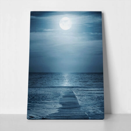 Πινακας σε καμβά MOONLIGHT