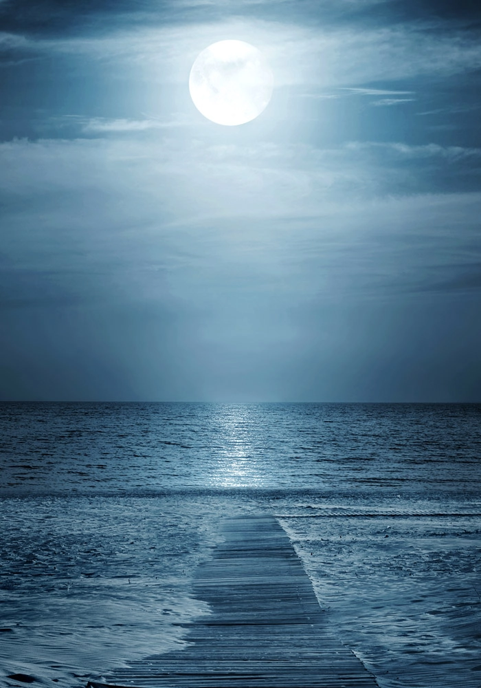 Πινακας σε καμβά MOONLIGHT