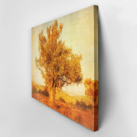 Πινακας σε καμβά OLIVE TREE 2 - Υπαιθρος Sticky 3
