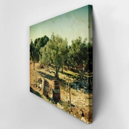 Πινακας σε καμβά VINTAGE OLIVE TREES - Υπαιθρος Sticky 2