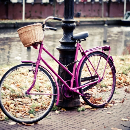 Πινακας σε καμβά PINK BIKE - Ποδηλατα Sticky 5
