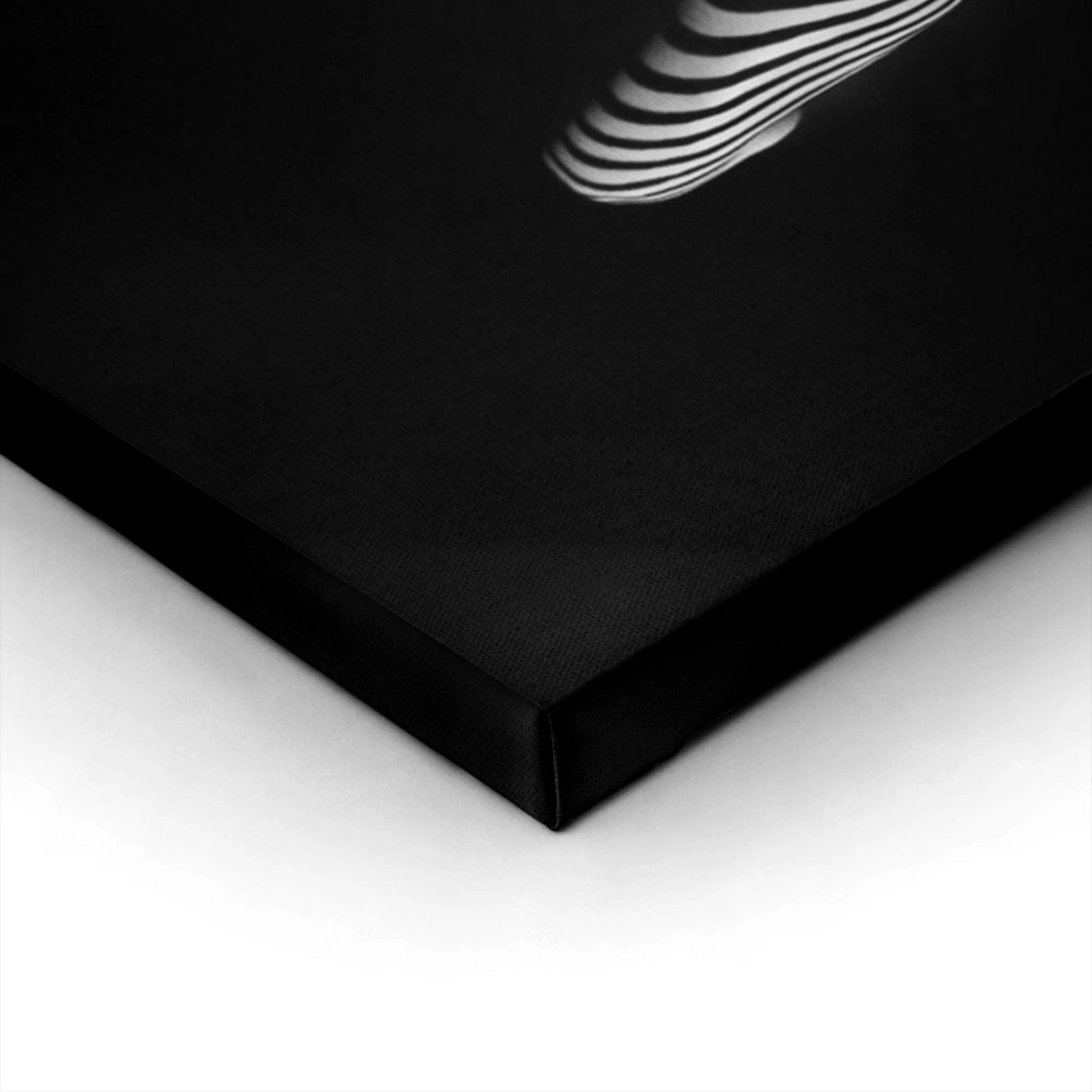 Πινακας σε καμβά REFLECTIONS 33