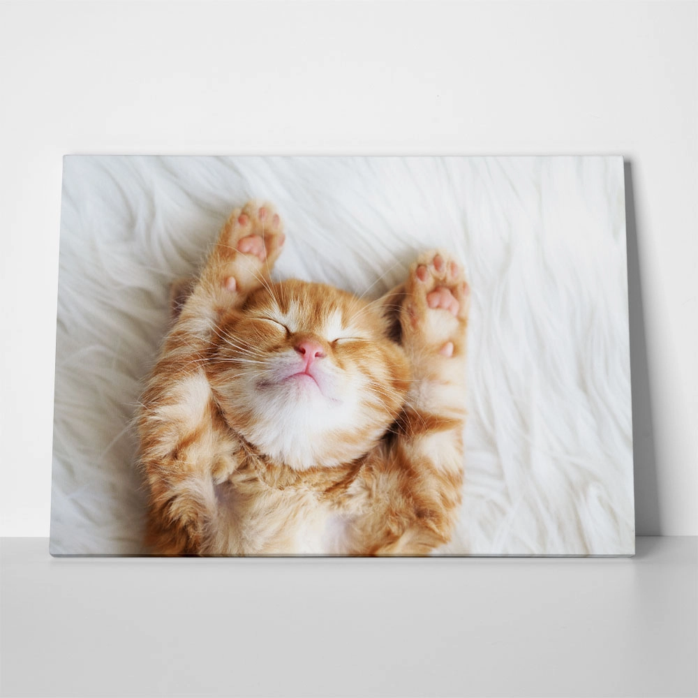 Πινακας σε καμβά SLEEPING CAT