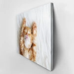 Πινακας σε καμβά SLEEPING CAT