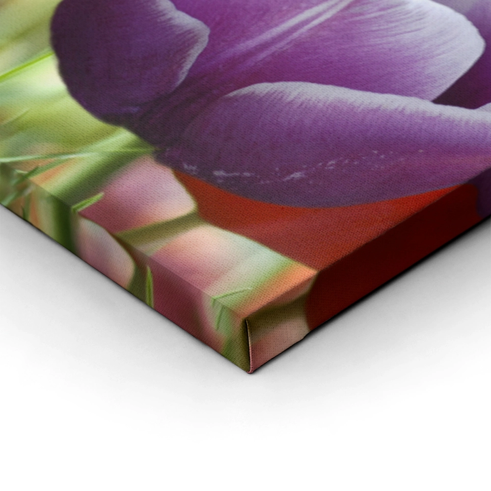 Πινακας σε καμβά TULIPS