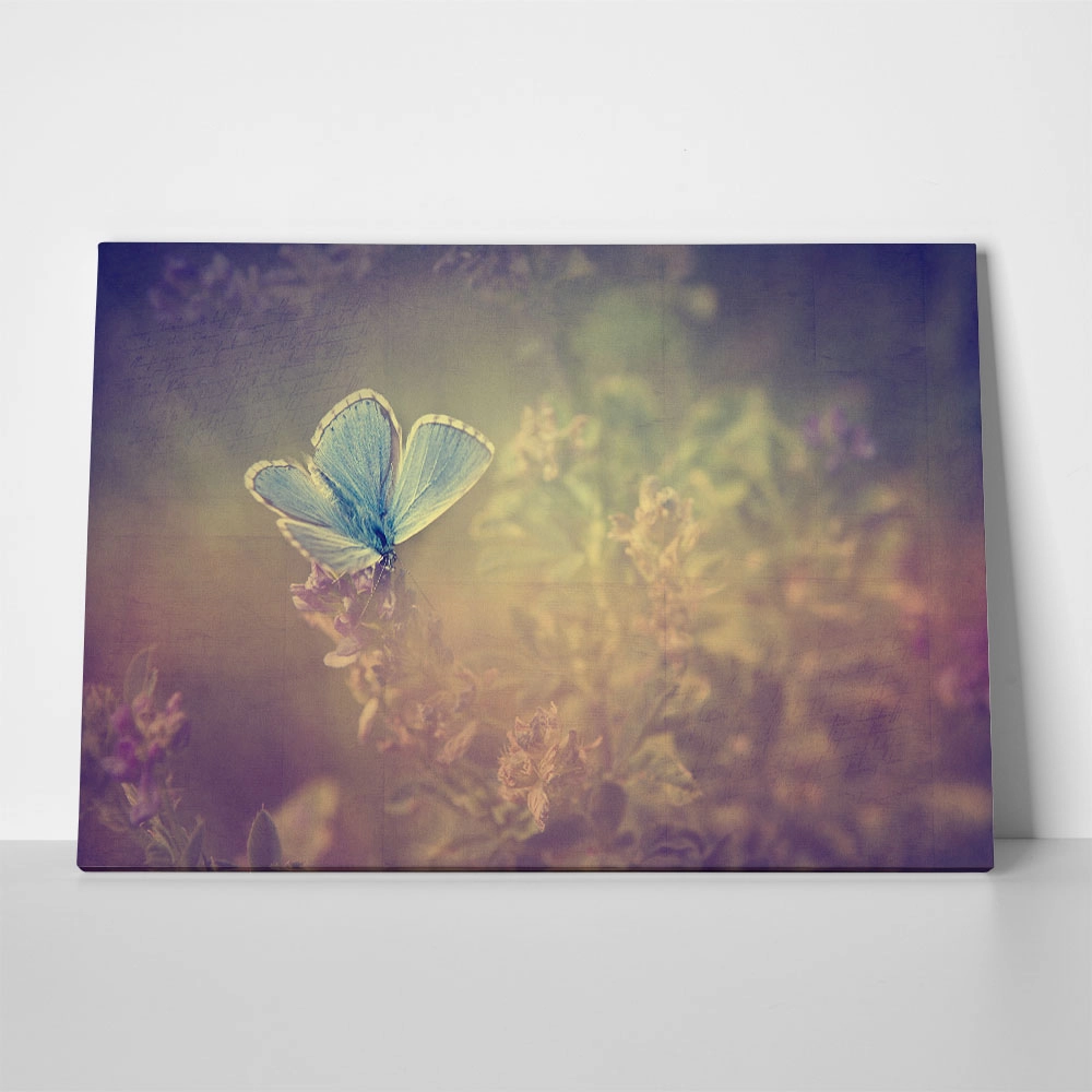 Πινακας σε καμβά VINTAGE BUTTERFLY