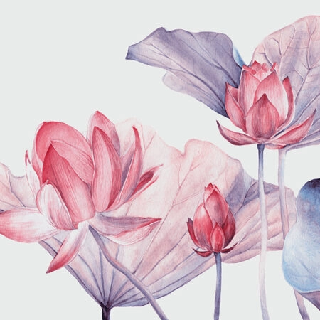 Πινακας σε καμβά WATERCOLOR BOTANICAL ILLUSTRATION LOTUS FLOWER - Botanical - Φυτα Sticky 4