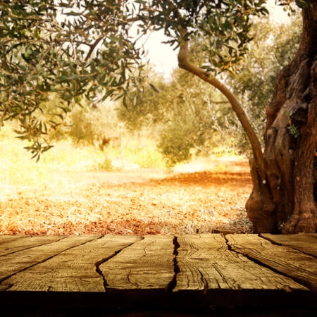 Πινακας σε καμβά WOODEN TABLE WITH OLIVE TREE - Υπαιθρος Sticky 4