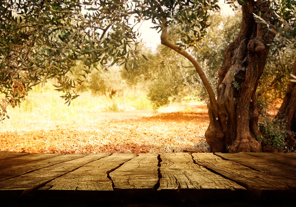 Πινακας σε καμβά WOODEN TABLE WITH OLIVE TREE