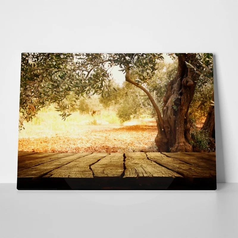Πινακας σε καμβά WOODEN TABLE WITH OLIVE TREE