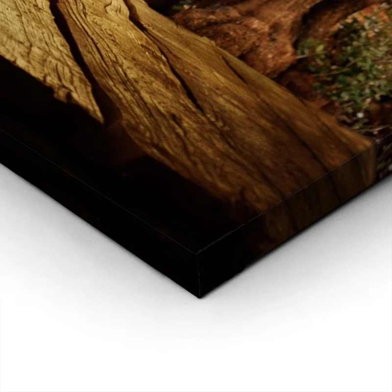 Πινακας σε καμβά WOODEN TABLE WITH OLIVE TREE