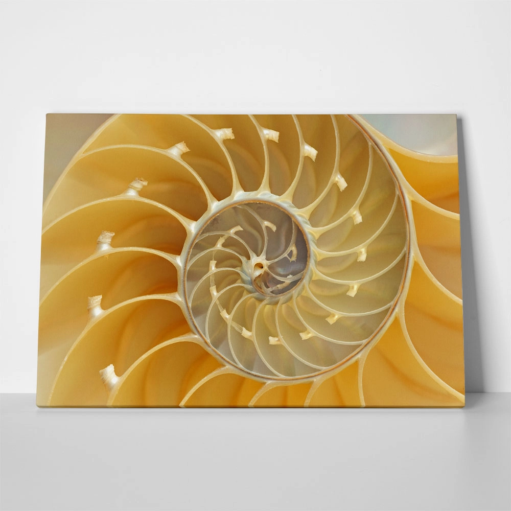 Πινακας σε καμβά YELLOW SHELL