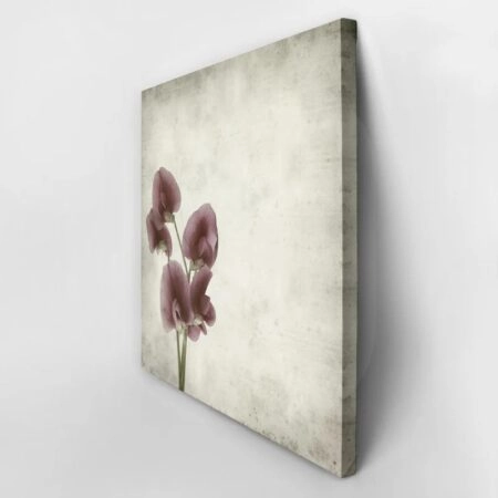 Πίνακας σε καμβά TEXTURED OLD PAPER BACKGROUND LATHYRUS TINGITANUS - Floral - Λουλουδια Sticky 3