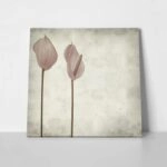Πίνακας σε καμβά TEXTURED OLD PAPER BACKGROUND PINK ANTHURIUM