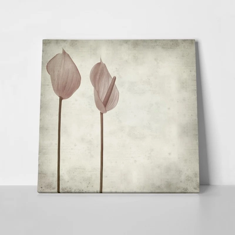 Πίνακας σε καμβά TEXTURED OLD PAPER BACKGROUND PINK ANTHURIUM