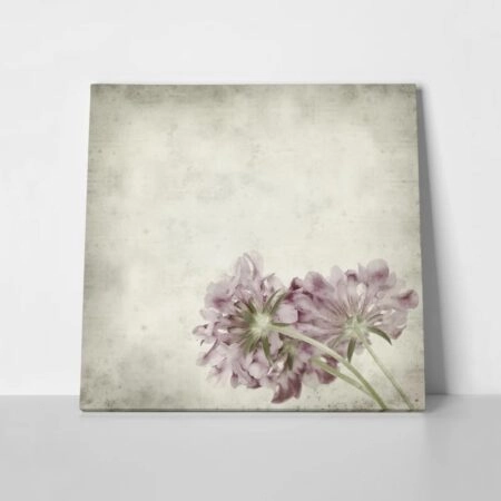 Πίνακας σε καμβά TEXTURED OLD PAPER BACKGROUND SCABIOSA FLOWER
