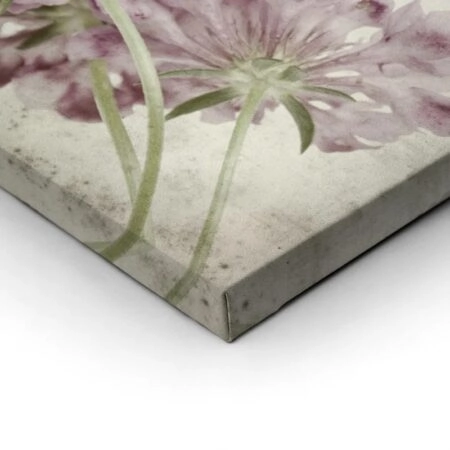 Πίνακας σε καμβά TEXTURED OLD PAPER BACKGROUND SCABIOSA FLOWER - Floral - Λουλουδια Sticky 1