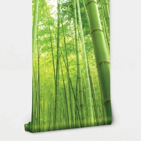 Αυτοκόλλητη Ταπετσαρία τοίχου BAMBOO FOREST - Τοπία Sticky 2