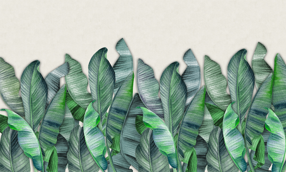 crop image