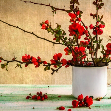 Πινακας σε καμβά BARBERRY BOUQUET - Floral - Λουλουδια Sticky 4