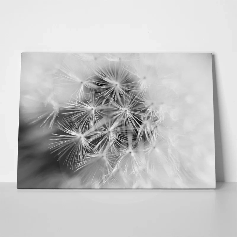 Πινακας σε καμβά BLACK AND WHITE DANDELION MACRO