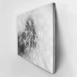 Πινακας σε καμβά BLACK AND WHITE DANDELION MACRO