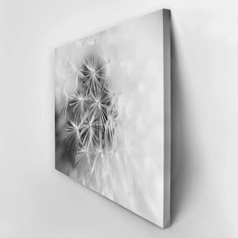 Πινακας σε καμβά BLACK AND WHITE DANDELION MACRO