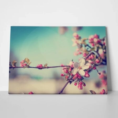 Πινακας σε καμβά BLOSSOM FLOWER
