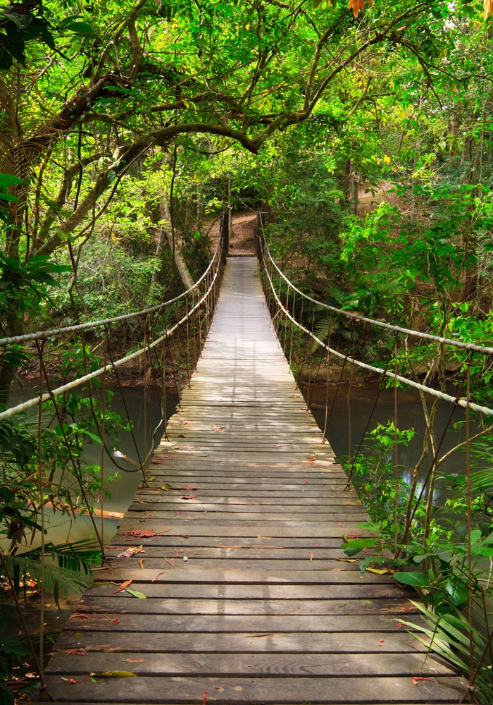 Πινακας σε καμβά BRIDGE TO THE JUNGLE THAILAND