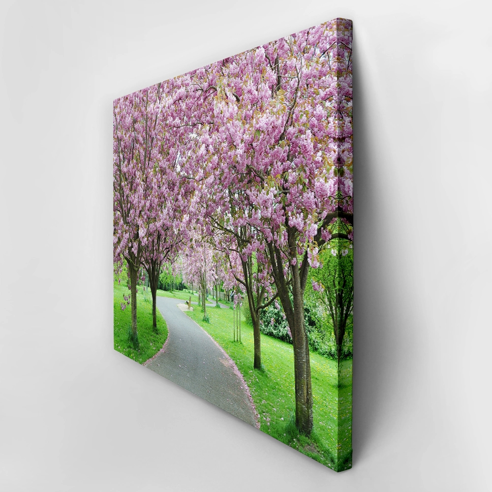 Πινακας σε καμβά CHERRY BLOSSOM PATH