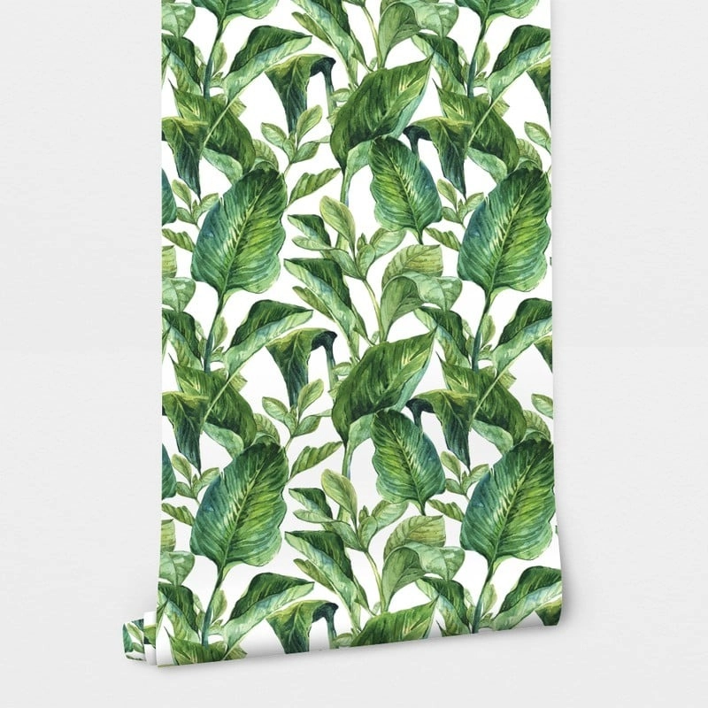 Αυτοκόλλητη Ταπετσαρία τοίχου KALO LEAVES