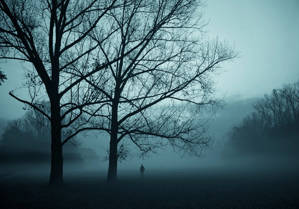 Πινακας σε καμβά FOG TREE