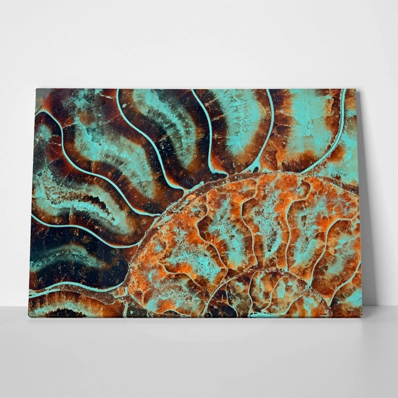 Πινακας σε καμβά FOSSIL AMMONITE MACRO