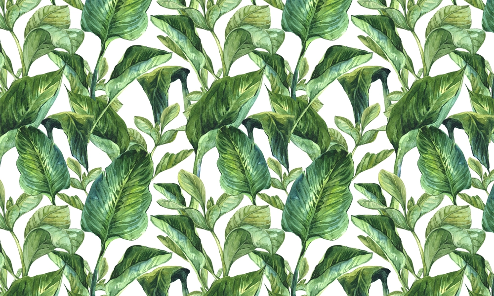 crop image