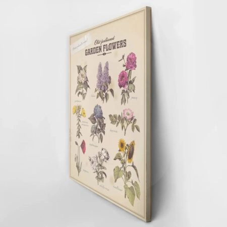 Πινακας σε καμβά OLD FASHIONED FLOWERS - Botanical - Φυτα Sticky 2