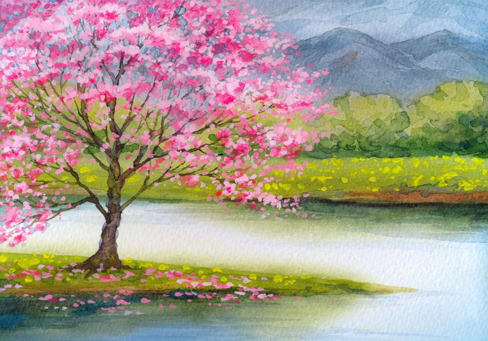 Πινακας σε καμβά PEACH SEEDLING ON MIST ISLAND