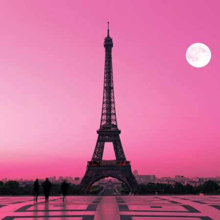 Πινακας σε καμβά PINK EIFFEL - Παρισι Sticky 5