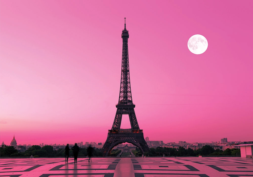 Πινακας σε καμβά PINK EIFFEL