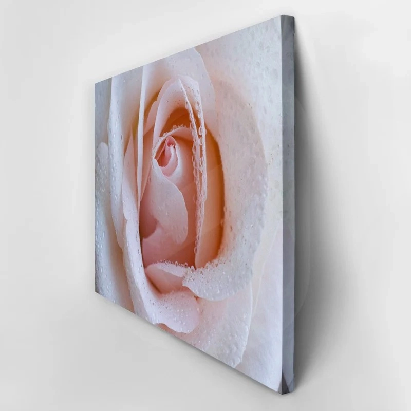 Πινακας σε καμβά PINK ROSE SWIRLS