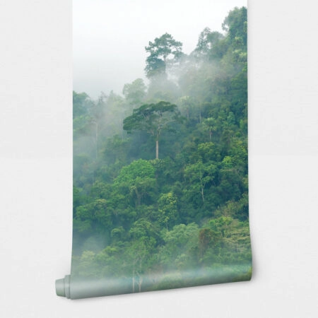 Αυτοκόλλητη Ταπετσαρία τοίχου RAINFOREST FOG - Τοπία Sticky 2