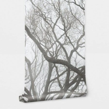 Αυτοκόλλητη Ταπετσαρία τοίχου TREES IN THE FOG - Τοπία Sticky 2