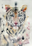 Πινακας σε καμβά WHITE TIGER WATERCOLOR