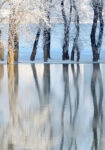 Πινακας σε καμβά WINTER LANDSCAPE