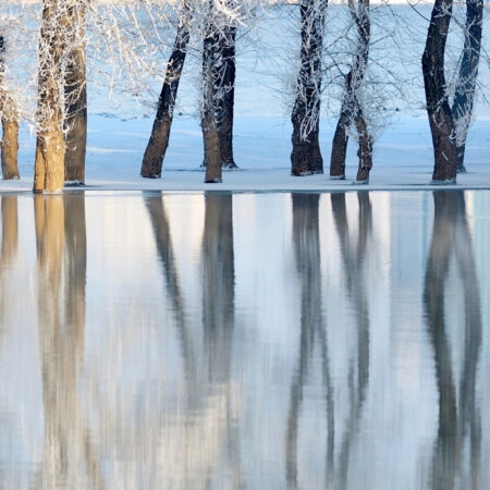 Πινακας σε καμβά WINTER LANDSCAPE - Πινακες σε καμβα Sticky 4