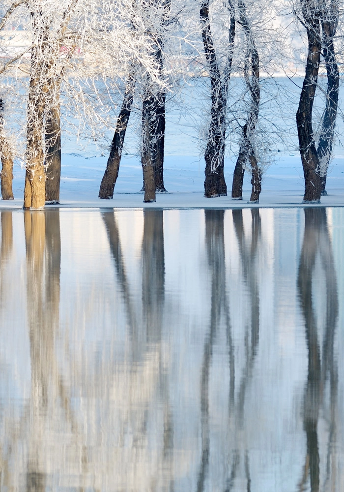 Πινακας σε καμβά WINTER LANDSCAPE
