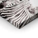 Πίνακας ZEBRA