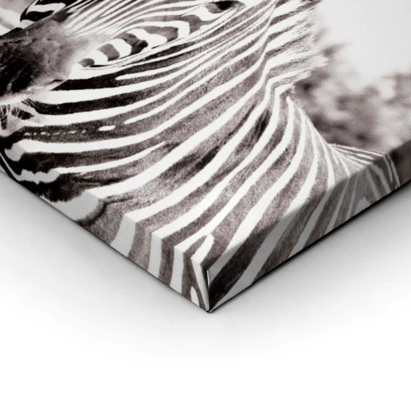 Πίνακας ZEBRA