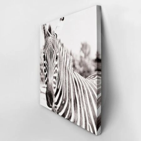 Πίνακας ZEBRA - Ζεμπρες Sticky 2