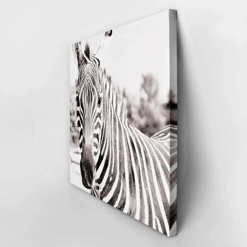 Πίνακας ZEBRA